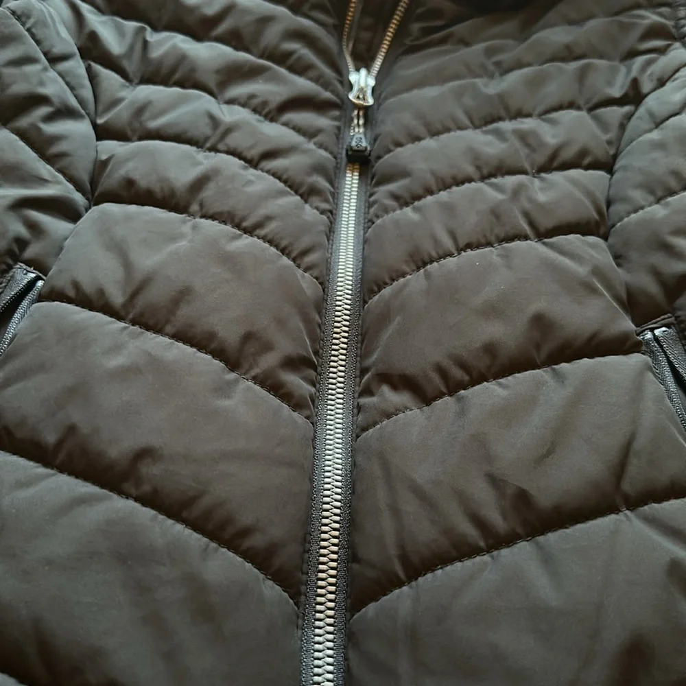 DSG Black Puffer Jacket with Quilted‎ Design and Hood
